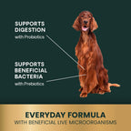 VetriScience Gut Health Masticables Probióticos para Perros, Sabor a Pato, 120 unidades