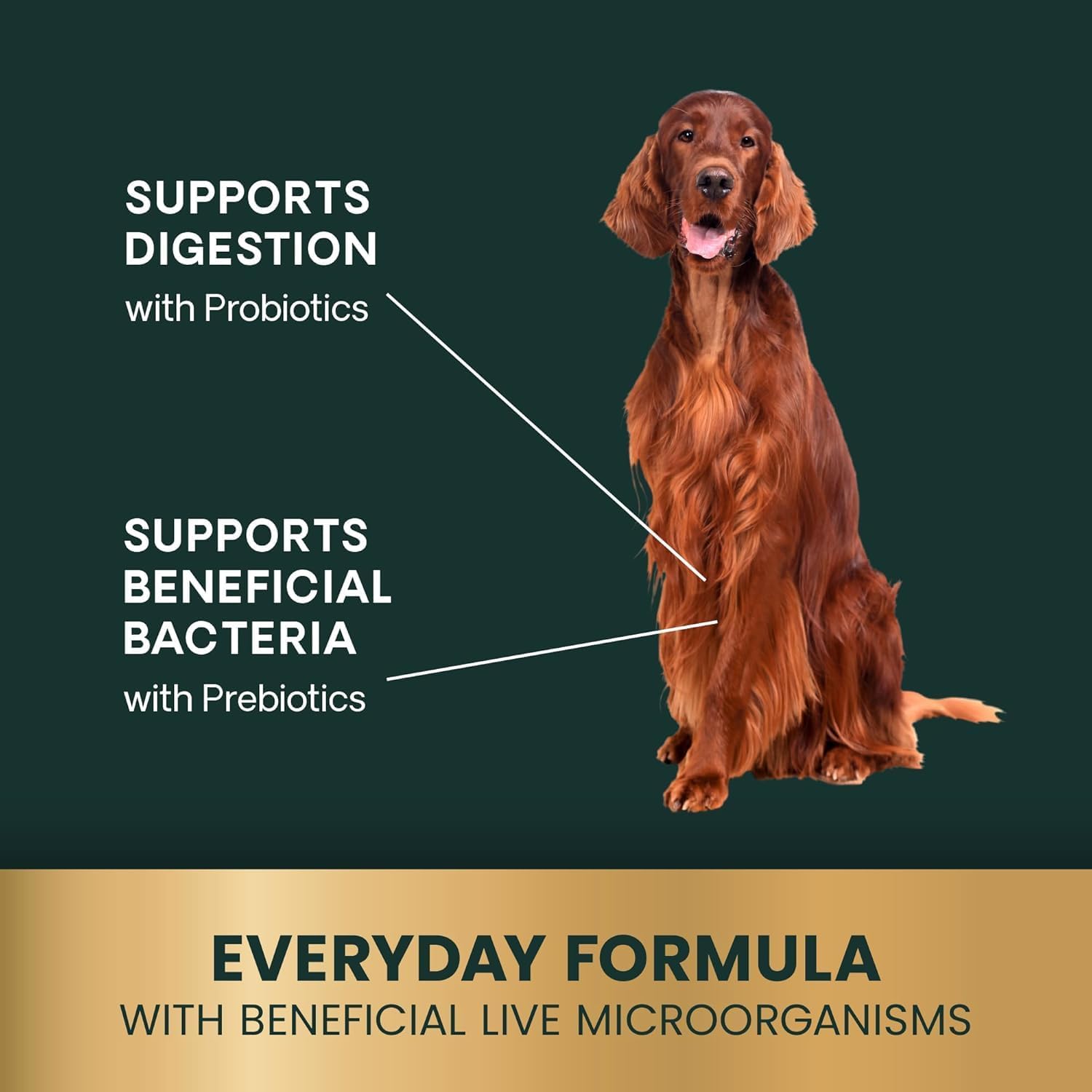 VetriScience Gut Health Masticables Probióticos para Perros, Sabor a Pato, 120 unidades