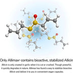 Allimax 180 mg 90 cápsulas vegetales - Complemento alimenticio de ajo