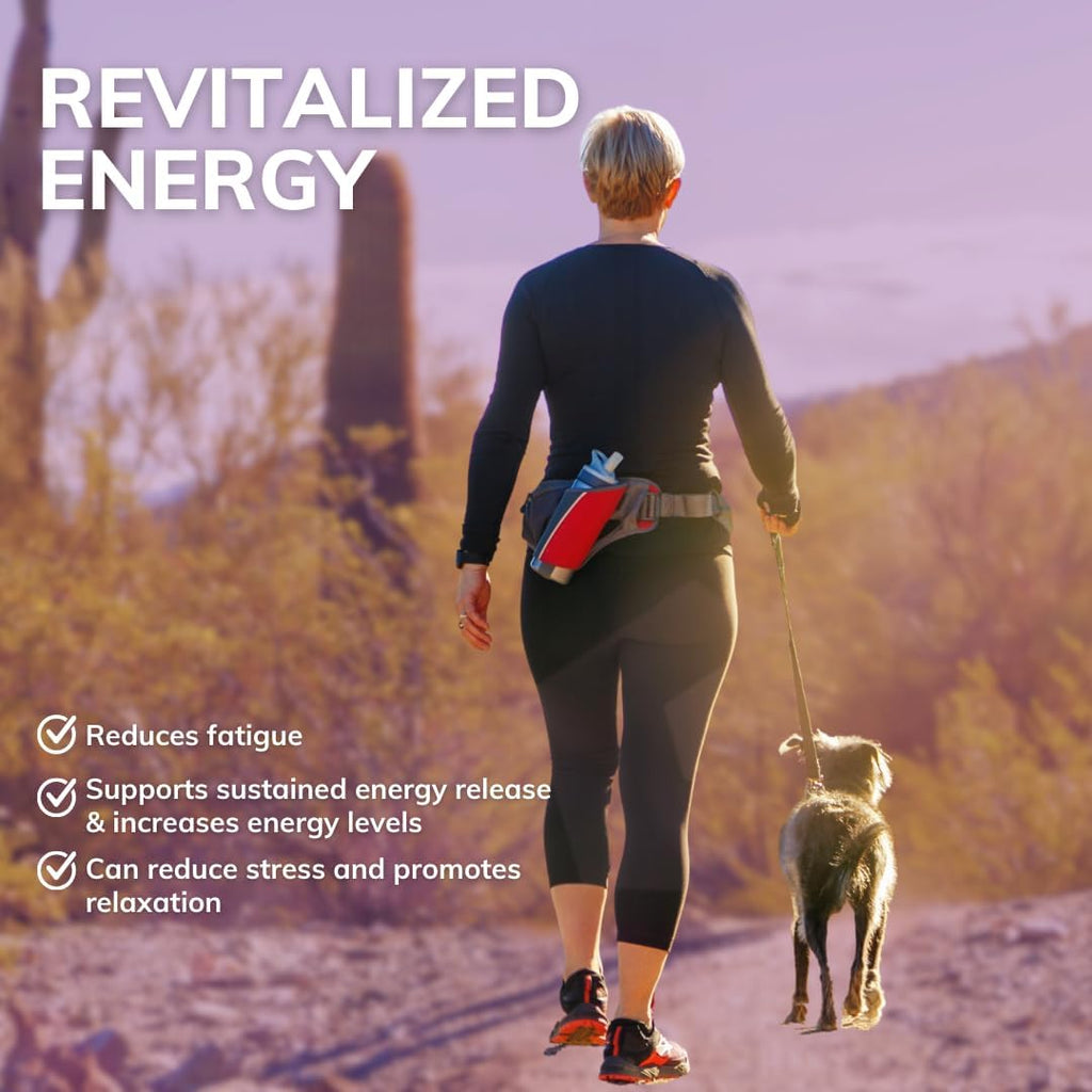 B1 Supplement (TTFD) – Energía, Cognición y Digestión – 100 Cápsulas
