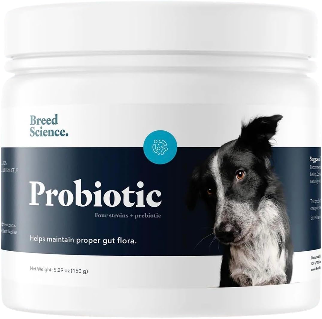 Probiótico y Prebiótico en Polvo para Perros - Apoyo Digestivo e Inmunitario