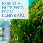 Youngevity Body Balance Land & Sea Plant Based Nutrition - 75+ Nutrientes con Algas, Aloe Vera y Miel - 32 Fl Oz (2 Unidades)