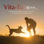 Silver - Multivitamin for Senior Dogs - 100 Chewable Tablets