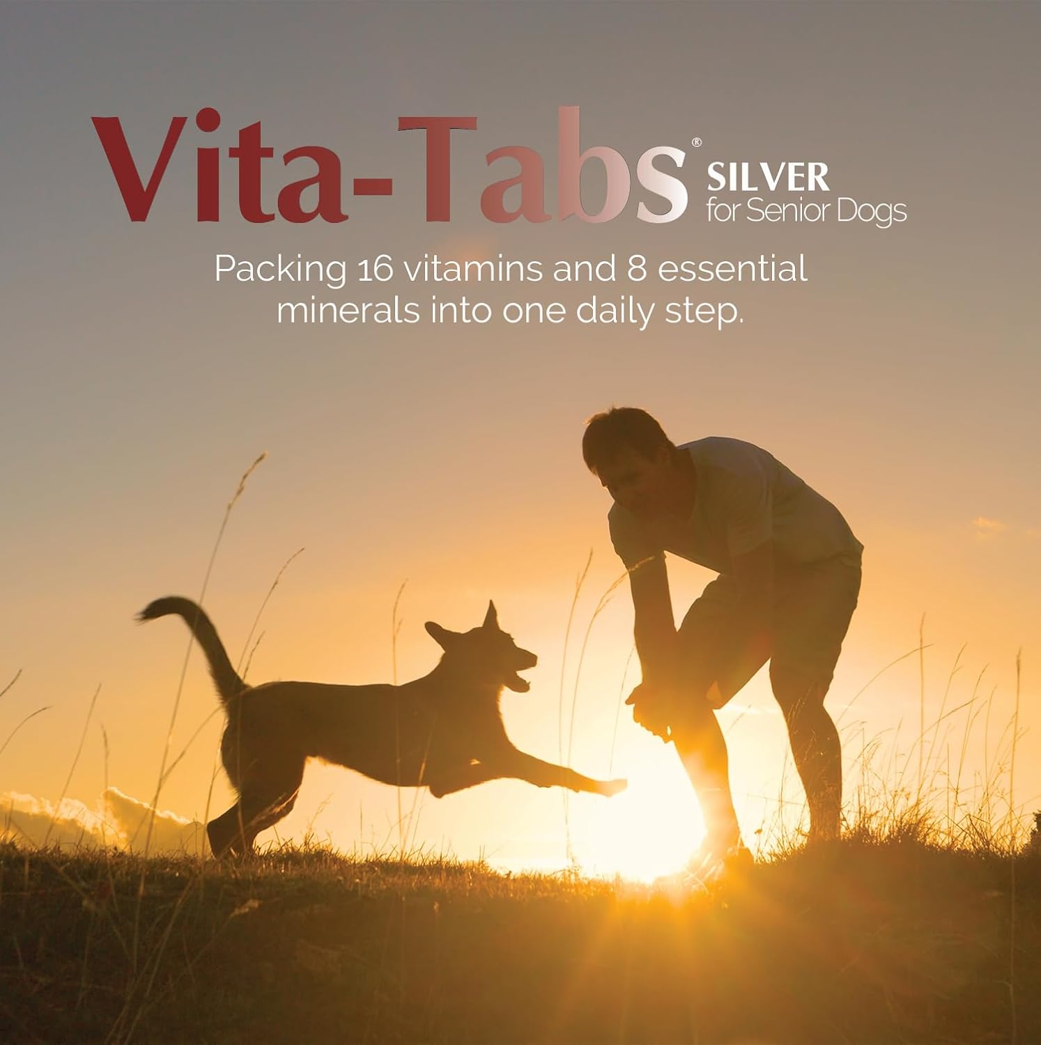 Silver - Multivitamin for Senior Dogs - 100 Chewable Tablets