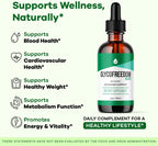 (5 Pack) GlycoFreedom Drops – Complemento Líquido Herbal, 5 Botellas para 5 Meses