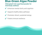 PURE SYNERGY Polvo de Alga Verde Azul | Superalimento con Clorofila | Suplemento Orgánico de AFA | Energía, Claridad Mental y Desintoxicación (90 g)