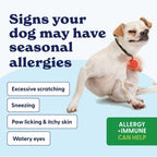 Origin Labs Complemento de Apoyo a las Alergias y el Sistema Inmunitario para Perros, Omega 3, Polen de Abeja, Calostro, Probióticos y Prebióticos, Sabor a Pavo, 90 Masticables Blandos