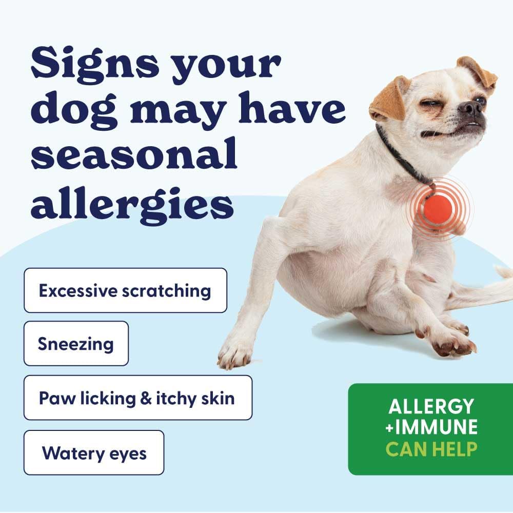 Origin Labs Complemento de Apoyo a las Alergias y el Sistema Inmunitario para Perros, Omega 3, Polen de Abeja, Calostro, Probióticos y Prebióticos, Sabor a Pavo, 90 Masticables Blandos
