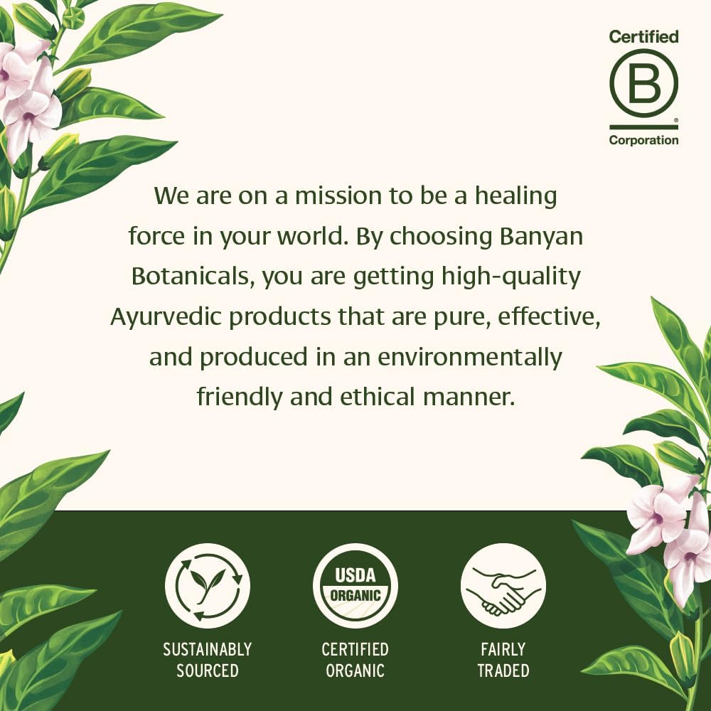 Banyan Botanicals Shilajit – 90 Tabletas Prensadas Puras para Energía y Vitalidad