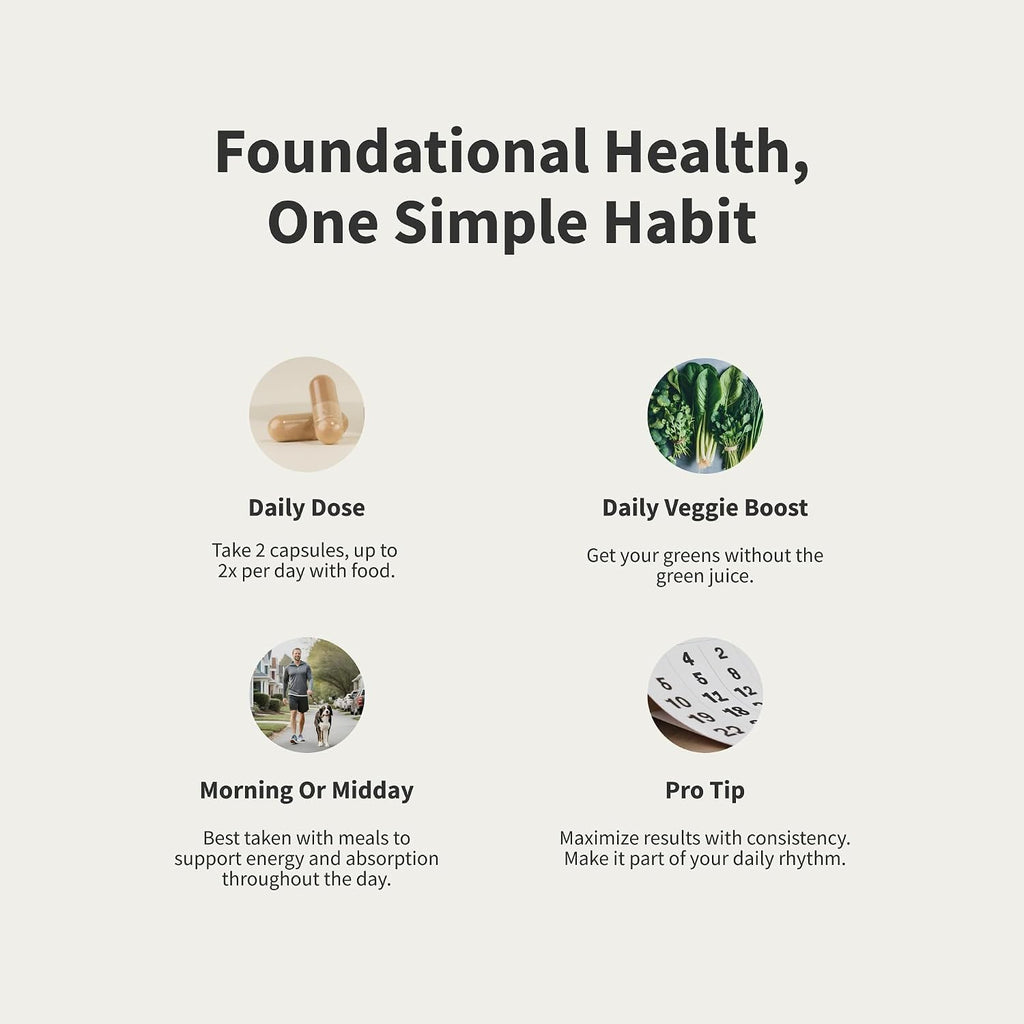 Snap Supplements Multivitamínico para Hombres – Vitaminas y Minerales Esenciales, 60 Cápsulas