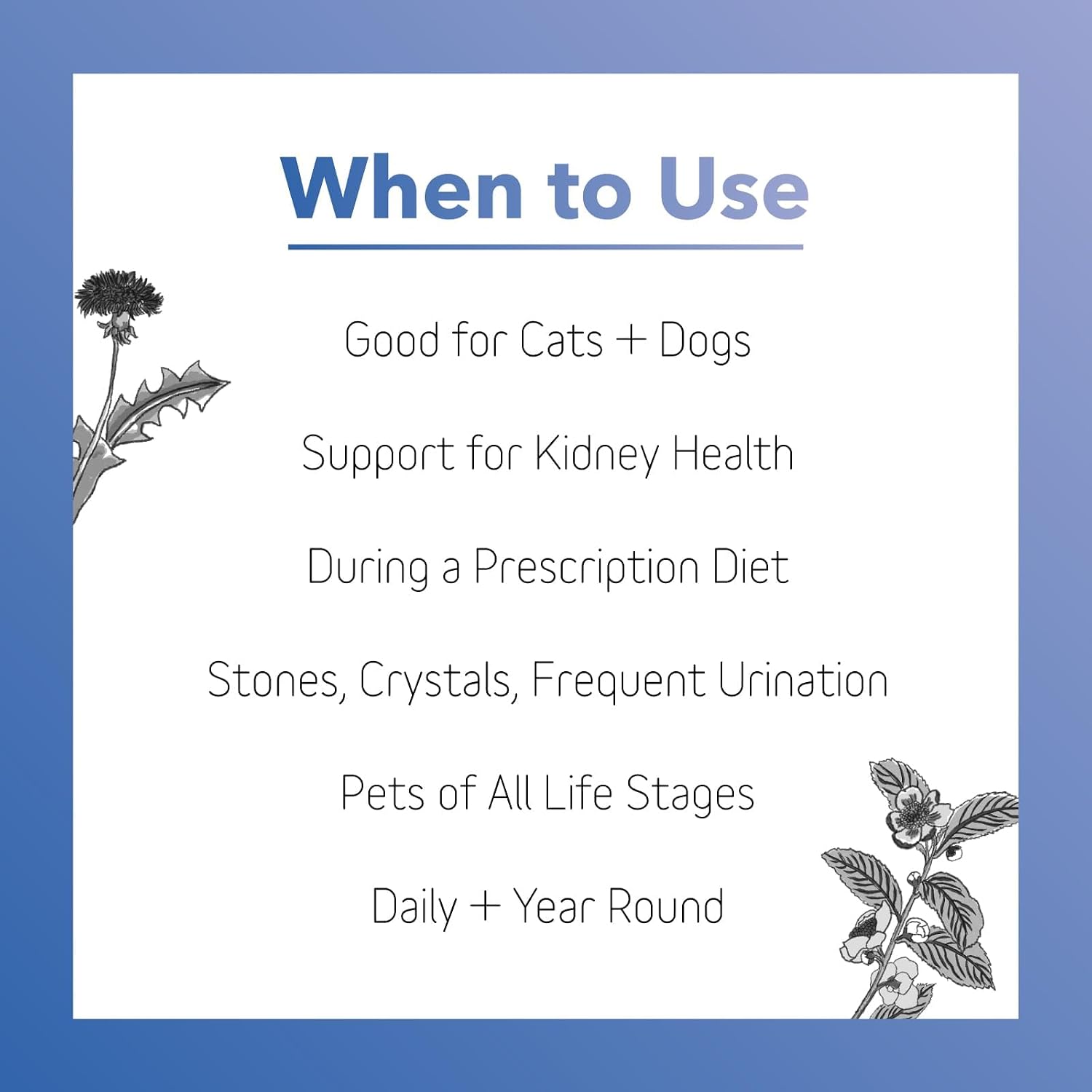 InClover Kidney – Complemento para la salud de la vejiga y riñones en perros y gatos