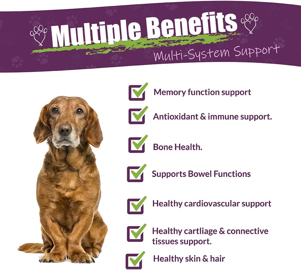 Amber NaturalZ Carticil Plus Suplemento Herbal para Perros - Apoyo Multisistémico (60 Días para Perros Medianos)