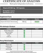 Vitamina B1 500 mg (Tiamina Mononitrato) 120 Cápsulas - Vitamatic