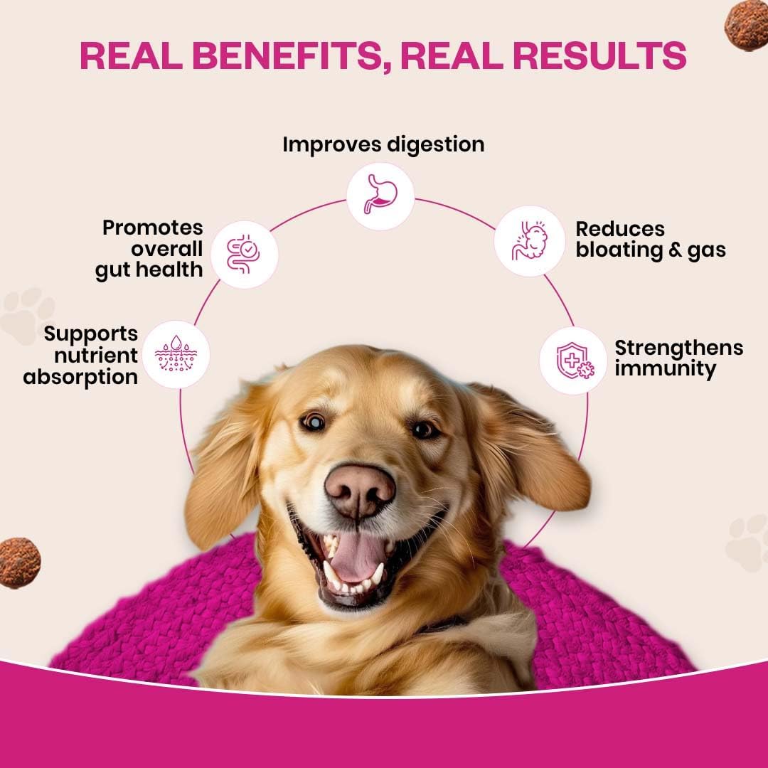 Masticables Probióticos para Perros | Seis Cepas Probióticas | Salud Digestiva e Inmunológica | Sabor Pollo | 90 Masticables