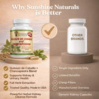 Sunshine Naturals Chanca Piedra con Guisazo de Caballo, Hierba Rompepiedras Tradicional, Suplemento para el Apoyo Renal y del Tracto Urinario, 1000 mg Mezcla Propietaria, 90 Cápsulas. Paquete de 5