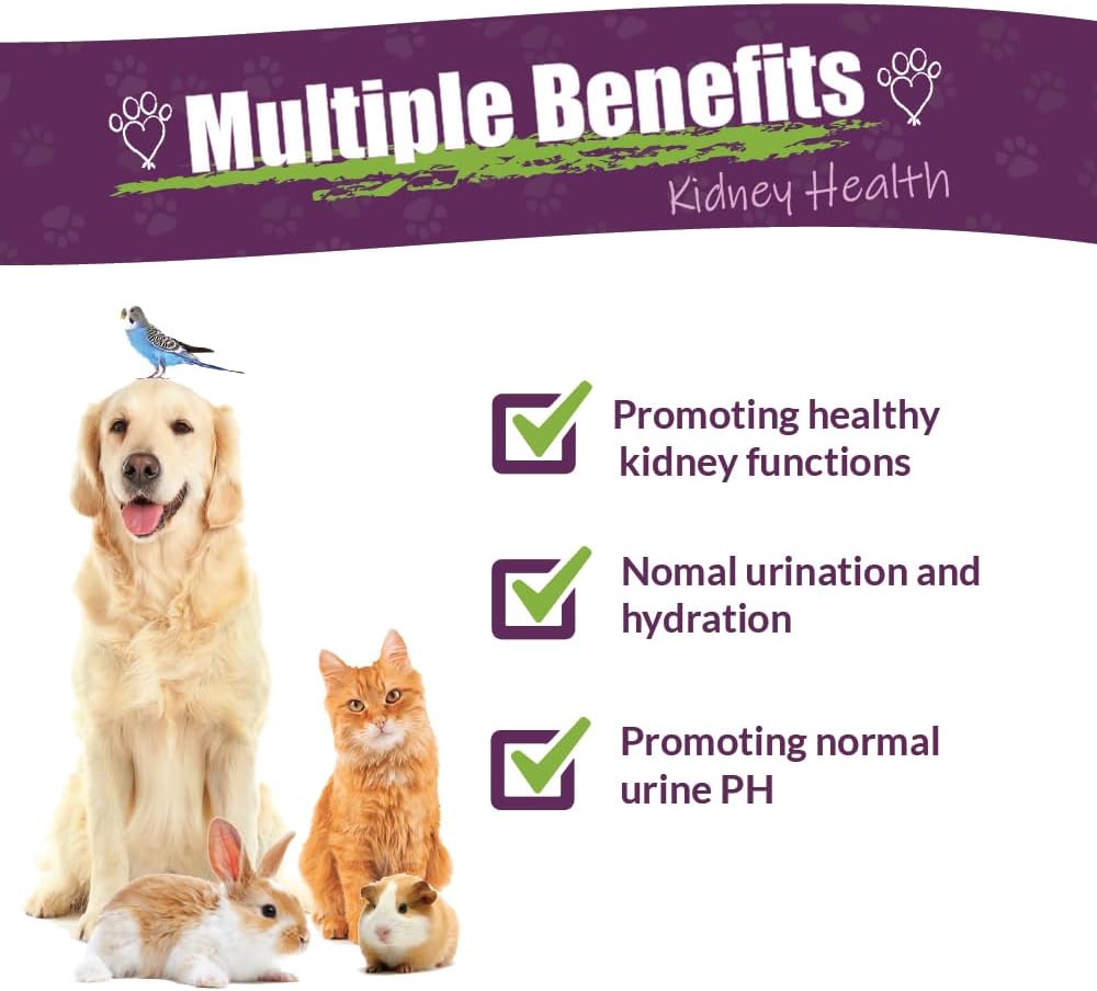 Amber NaturalZ Kidney Rejuvenator Suplemento Herbal para Mascotas - 118 ml