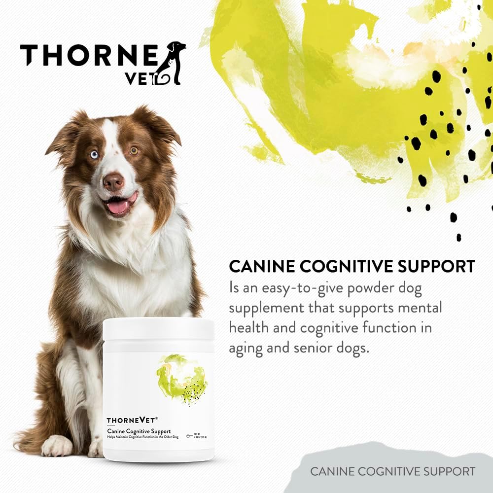 ThorneVet Canine Cognitive Support Powder - Apoyo Cognitivo para Perros Mayores (90 Dosis)