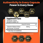 Cistanche Tubulosa Extract 500mg – 120 Cápsulas – 50% Echinacósidos, 10% Acteósidos | Suplemento Natural para Energía y Bienestar