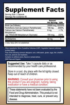 True Healing Naturals Motor Connect - Suplemento para el cerebro - 60 Cápsulas Vegetarianas