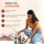 Ohana K9 Immunity – Suplemento para perros con 6 extractos de setas orgánicas USDA, 90 cápsulas