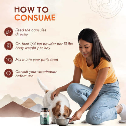 Ohana K9 Immunity – Suplemento para perros con 6 extractos de setas orgánicas USDA, 90 cápsulas – Image 4