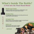 PetAlive Thyro-Pet – Gotas Líquidas de Apoyo Tiroideo para Perros y Gatos