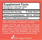 MD Logic Health Methyl-B12 5000 - 60 Comprimidos de Disolución Rápida - 100% Vegano