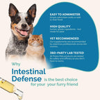 PranaPets Intestinal Defense Supplement for Dogs & Cats | Naturally Helps Digestive Issues in Pets | Herbal Formula | 2-Pack