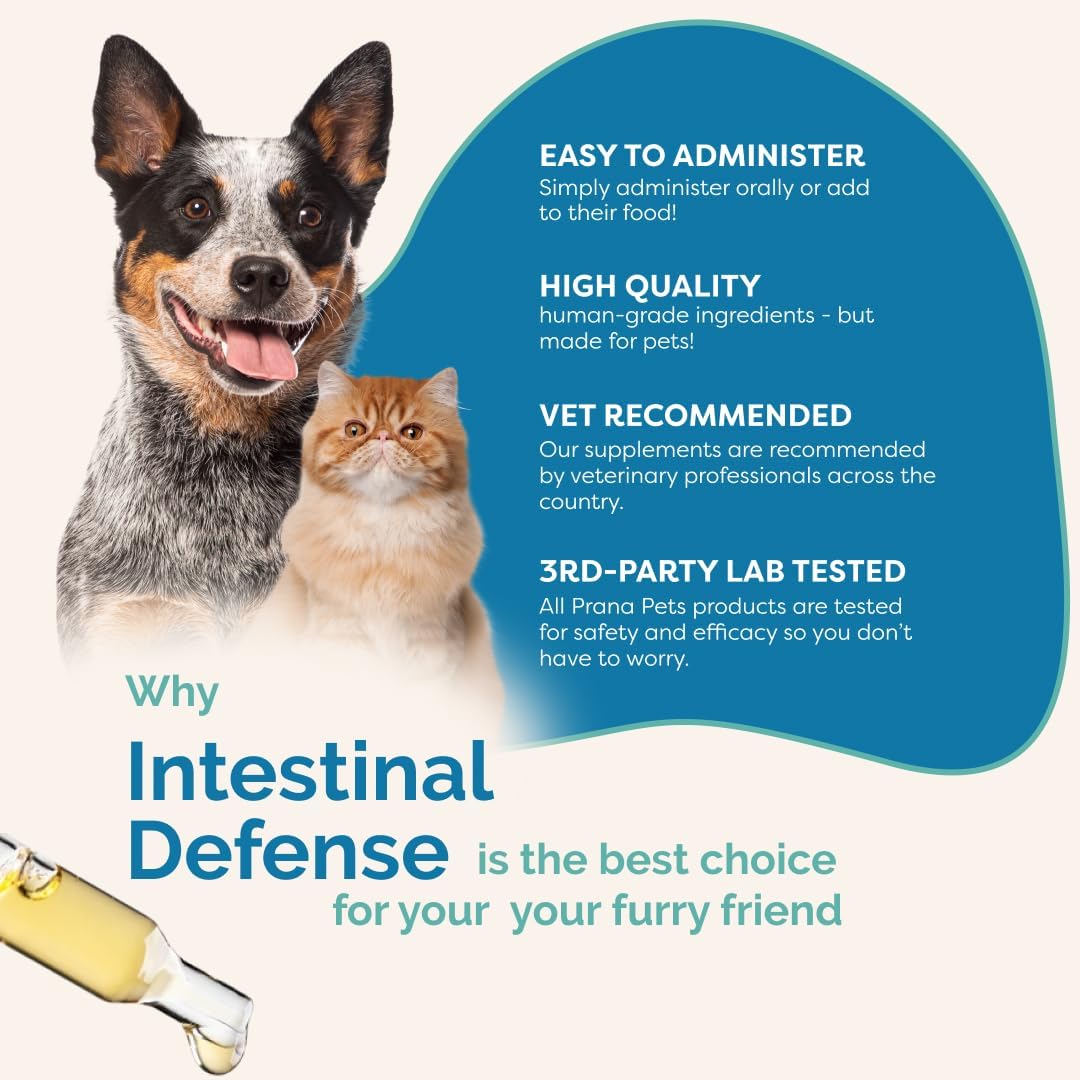 PranaPets Intestinal Defense Supplement for Dogs & Cats | Naturally Helps Digestive Issues in Pets | Herbal Formula | 2-Pack