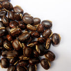 PURE ORIGINAL INGREDIENTS Mucuna Pruriens (907 g), Puro y Natural, No-GMO, Sin Gluten