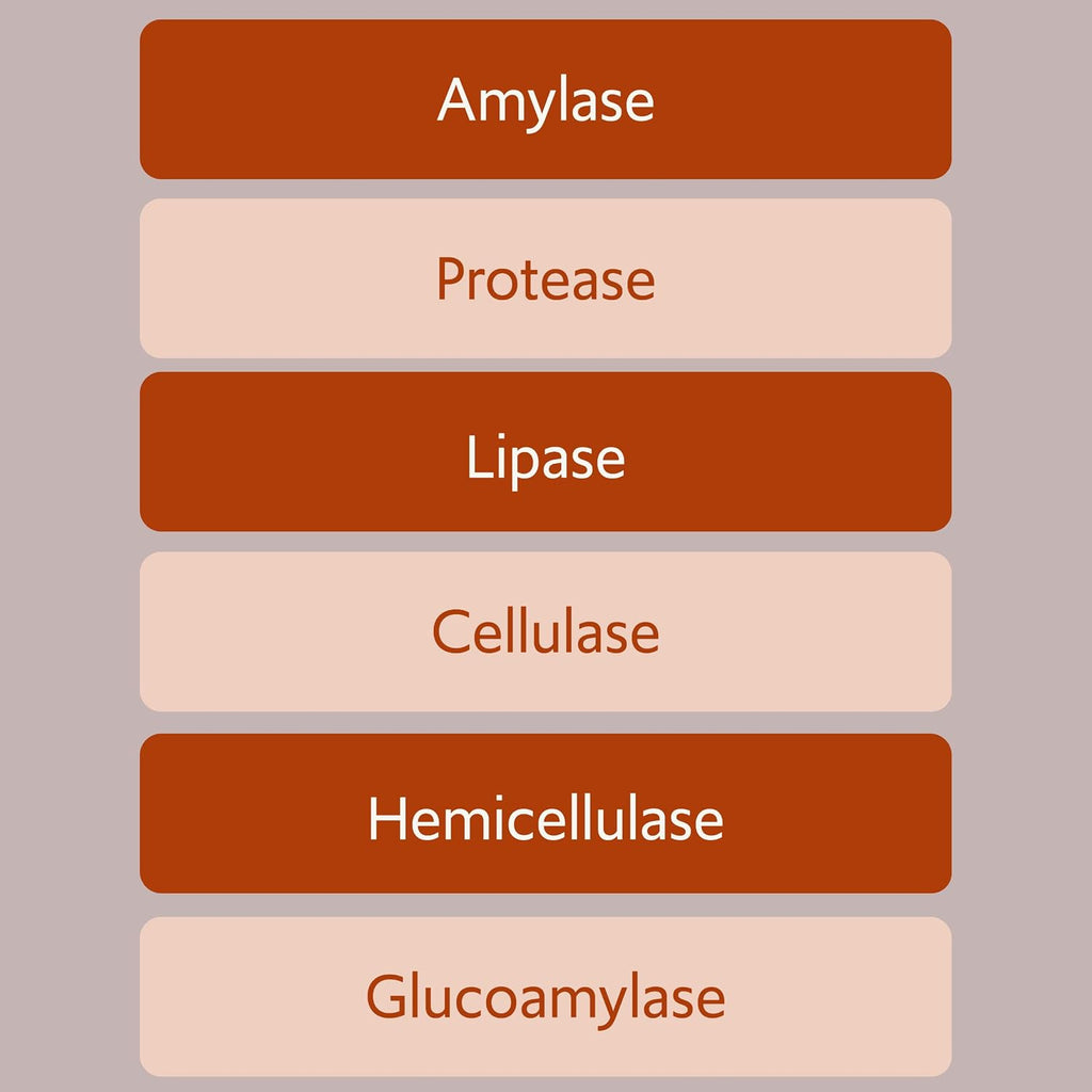 Bacillus B3 Probiótico de Esporas + Enzimas, 60 Cápsulas