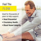 SOLARAY Feverfew Leaves 455 mg | Suplemento para el bienestar de la cabeza y la salud circulatoria | Vegano y No-GMO | 100 Cápsulas
