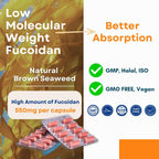 ONCOFUCO Cápsulas de Fucoidan - Extracto de Algas Marinas, 60 Cápsulas Vegetales