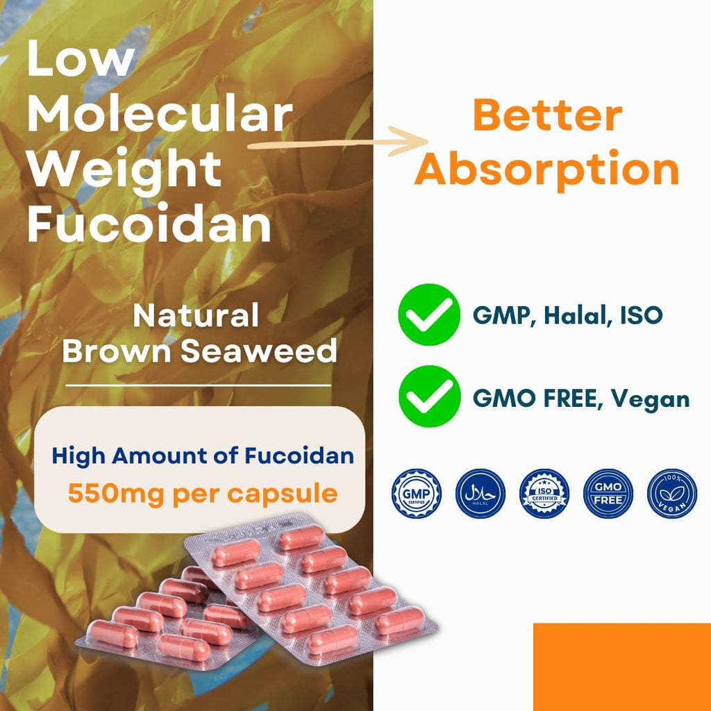 Oligo Fucoidan Capsules ONCOFUCO - Suplemento de Extracto de Algas Marinas, Alta Pureza, 120 Cápsulas Vegetales (2 Envases)