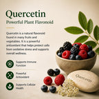 Super Immune Support, 6-in-1 Immune Supplement, N-Acetyl Cysteine (NAC), Quercetin, Elderberry, Chlorella, Chaga & Bromelain