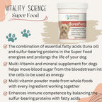 Super Food for Dogs - Multi-Vitamin and Mineral Supplement