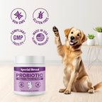 Probióticos para Perros en Polvo con 6 mil millones de UFC, Prebióticos y Enzimas Digestivas - Salud Digestiva e Inmune - 60 Dosis