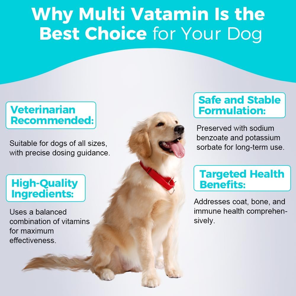Welsdom Suspensión Multivitamínica Completa para Perros - 240 ml | Apoya la Piel, el Pelaje, los Huesos y el Sistema Inmunitario