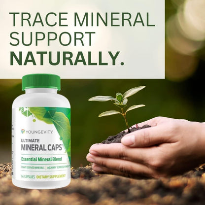 Youngevity Ultimate Mineral Caps - 70+ – Humus marino (Humic Shale): Un depósito de origen vegetal prehistórico, – Image 3