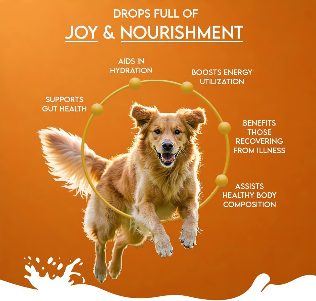 Pawfect Nature's Sip Leche de Camello en Polvo 100% Natural para Perros y Cachorros - 150g