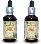 Tintura de Sang Ji Sheng (Taxillus Chinensis) - Extracto Líquido de Tallo Seco - 30 Botellas de 60 ml