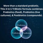 PetCultures Daily TriBiotic Formula - Probióticos en polvo para perros, salud digestiva e inmunitaria, 30 sobres