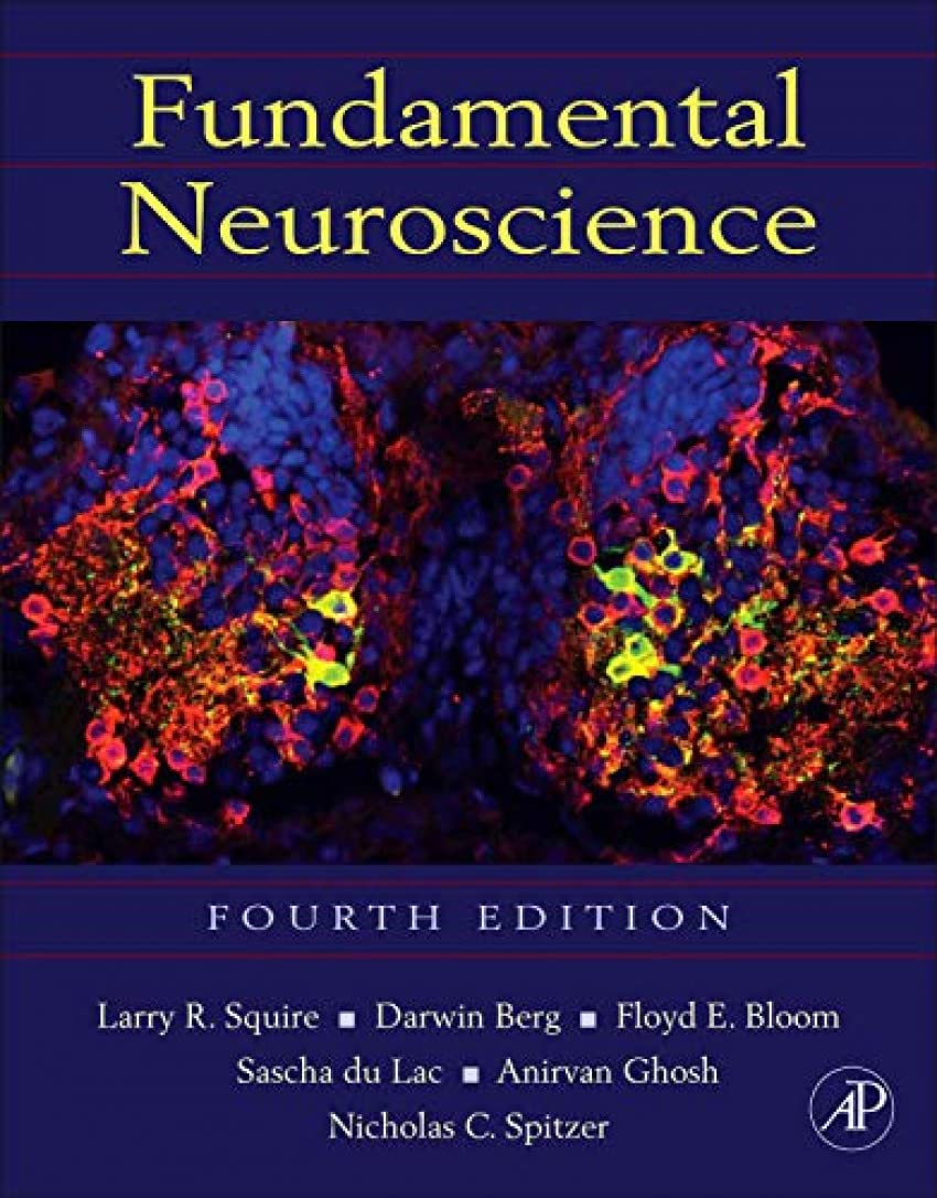 Fundamental Neuroscience – Neuroanatomía: estructura y organización del sistema nervioso central y periférico. – Image 1