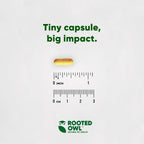 Rooted Owl® Cúrcuma para Perros y Gatos - Suplemento con Curcumina, Piperina y Vitamina C - 60 Cápsulas