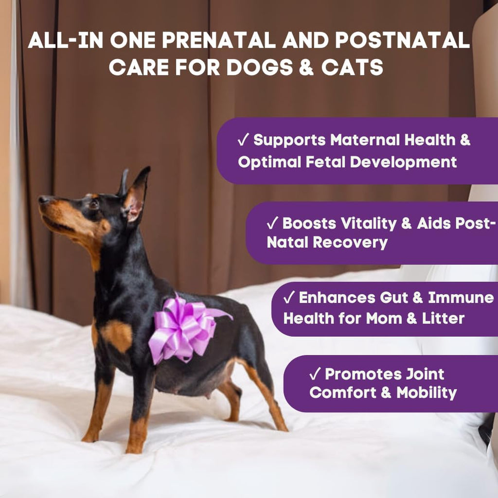 MaternityMax Vitaminas Prenatales para Perros y Gatos - Suplemento Pre y Postnatal con Probióticos, Glucosamina, MSM, CoQ10 y Vitaminas Esenciales - 90 Chews Blandos Sabor Salmón