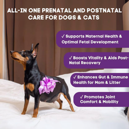 MaternityMax Vitaminas Prenatales para Perros y Gatos - Suplemento Pre y Postnatal con Probióticos, Glucosamina, MSM, CoQ10 y Vitaminas Esenciales - 90 Chews Blandos Sabor Salmón