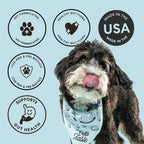 Probiotic Soft Chews Duck Flavored Gut Health Supplement for Dogs - Dog Digestive Support, 60 Chews