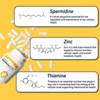 spermidineLIFE Natural Suplemento de Espermidina y Zinc - 60 Cápsulas Veganas