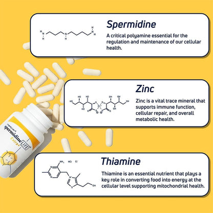 spermidineLIFE Natural Suplemento de Espermidina y Zinc - 60 Cápsulas Veganas – Image 4
