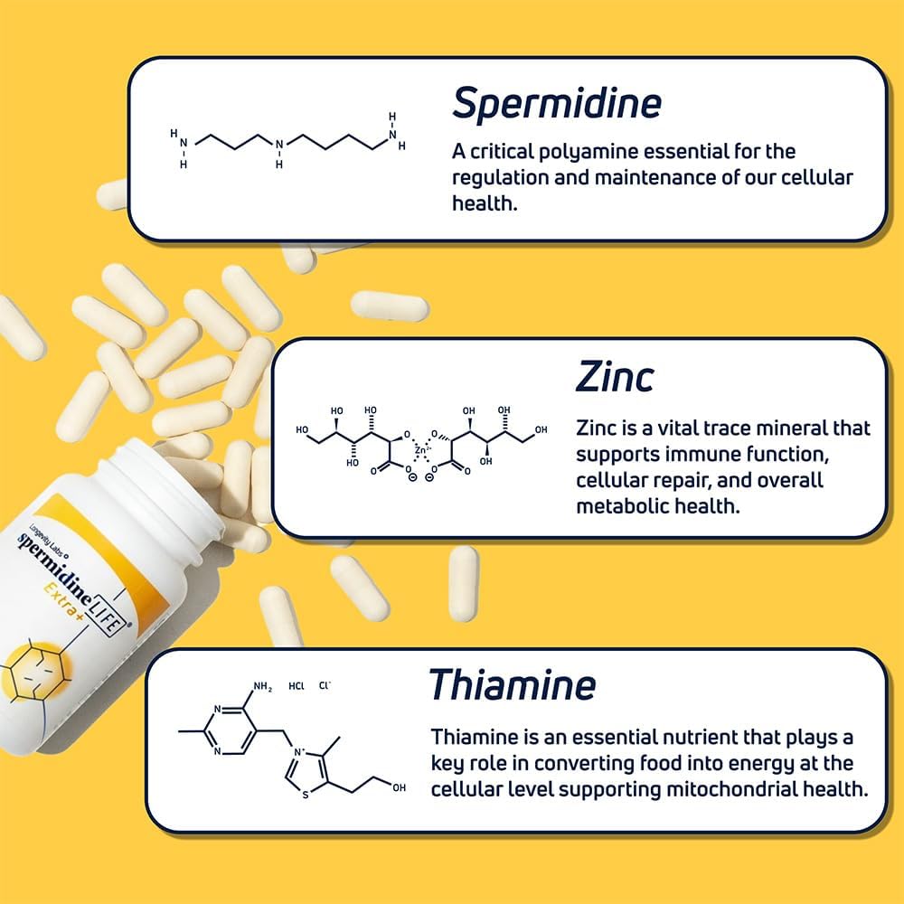 spermidineLIFE Natural - Suplemento de Espermidina y Zinc, 60 Cápsulas